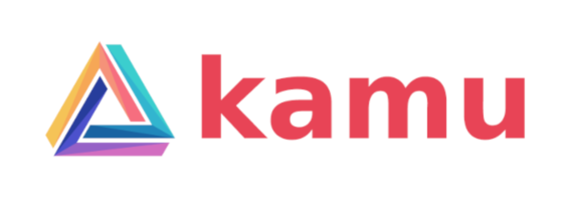 Kamu Data Logo